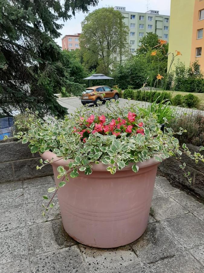 Kvetinovy Apartman A3B V Chomutove Экстерьер фото